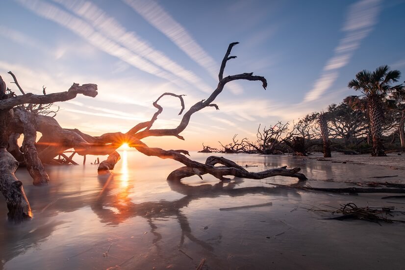 Driftwood Beach on Jekyll Island