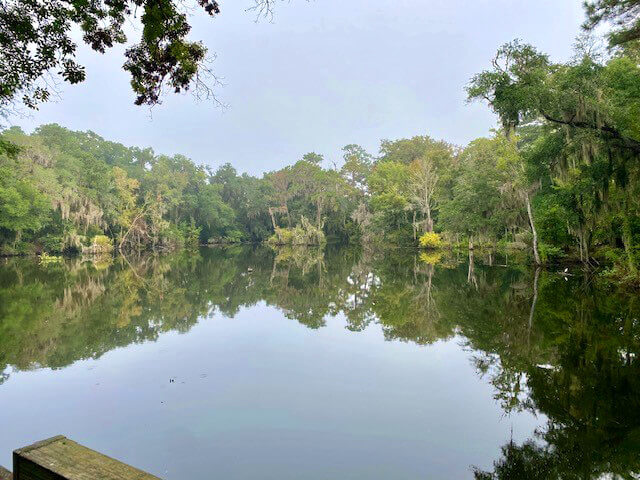 Harrington Park on St. Simons Island