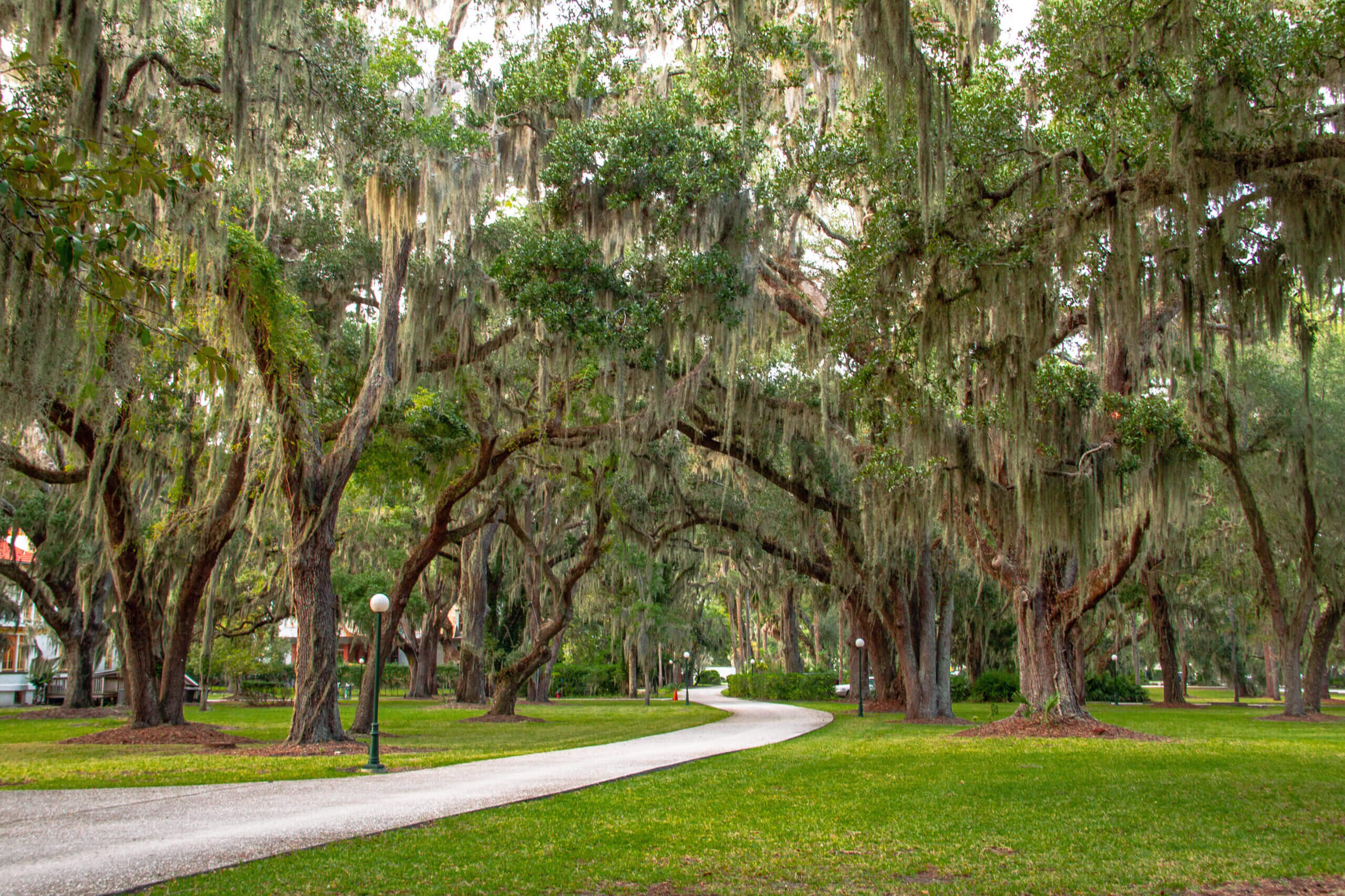 Oaks on Jekyll Island