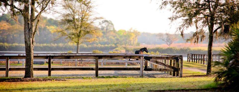 Stables at Frederica