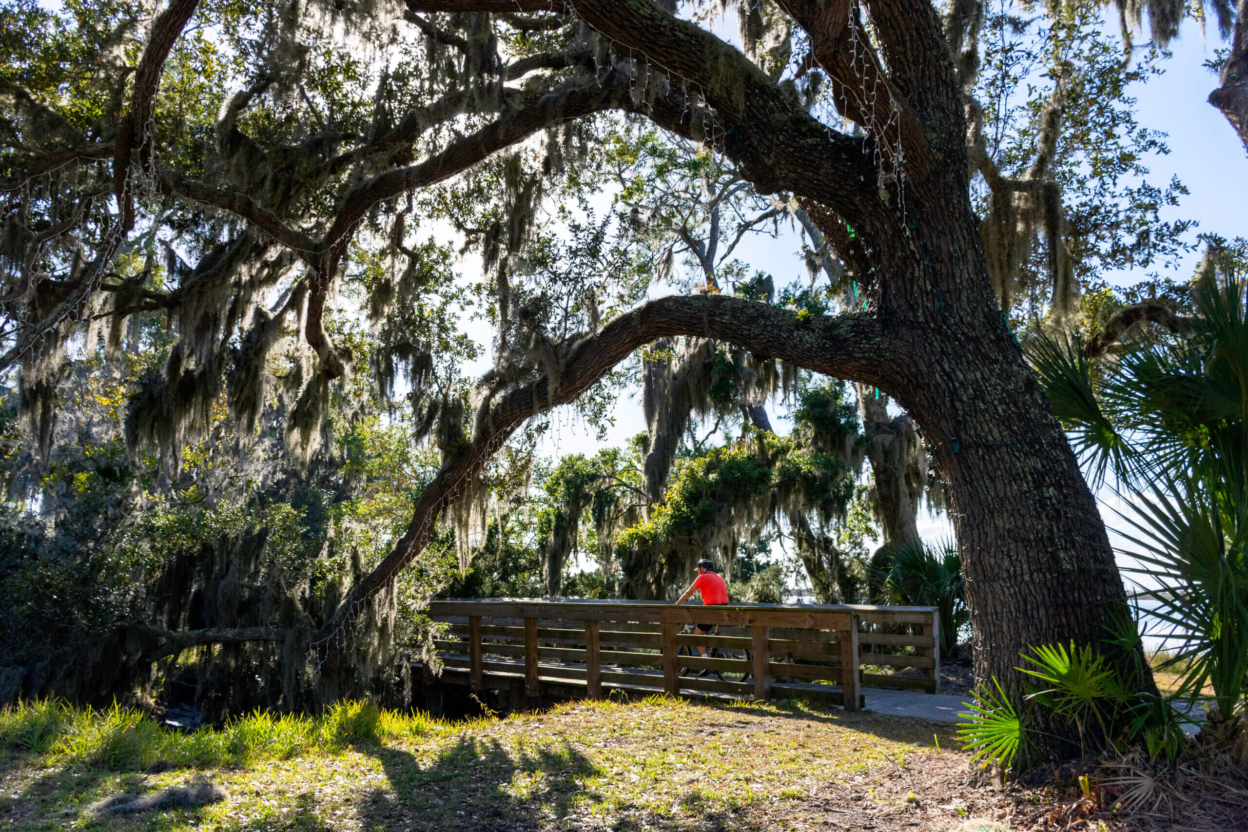 Jekyll Island Biking