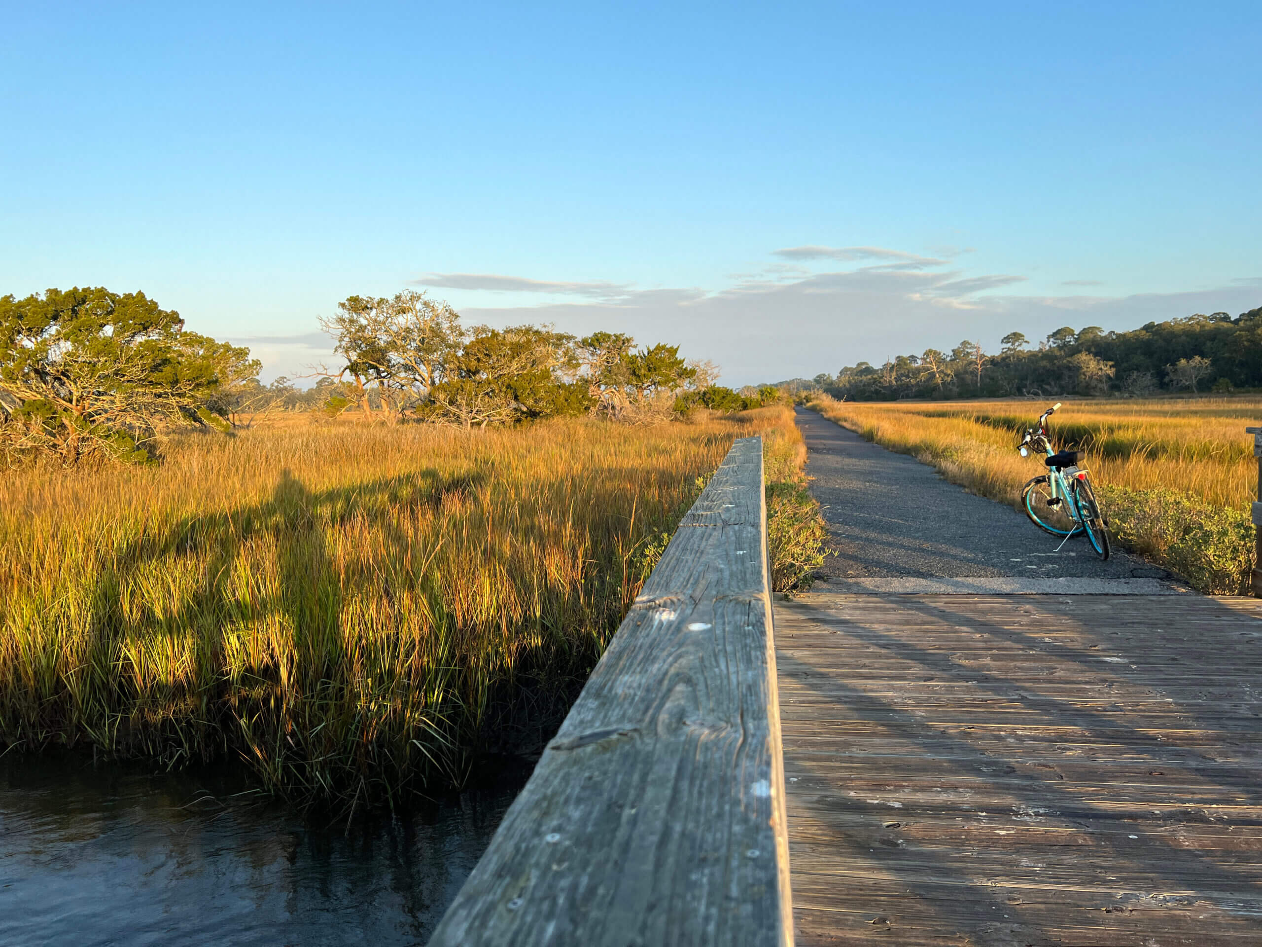 Bike Path on Jekyll Island